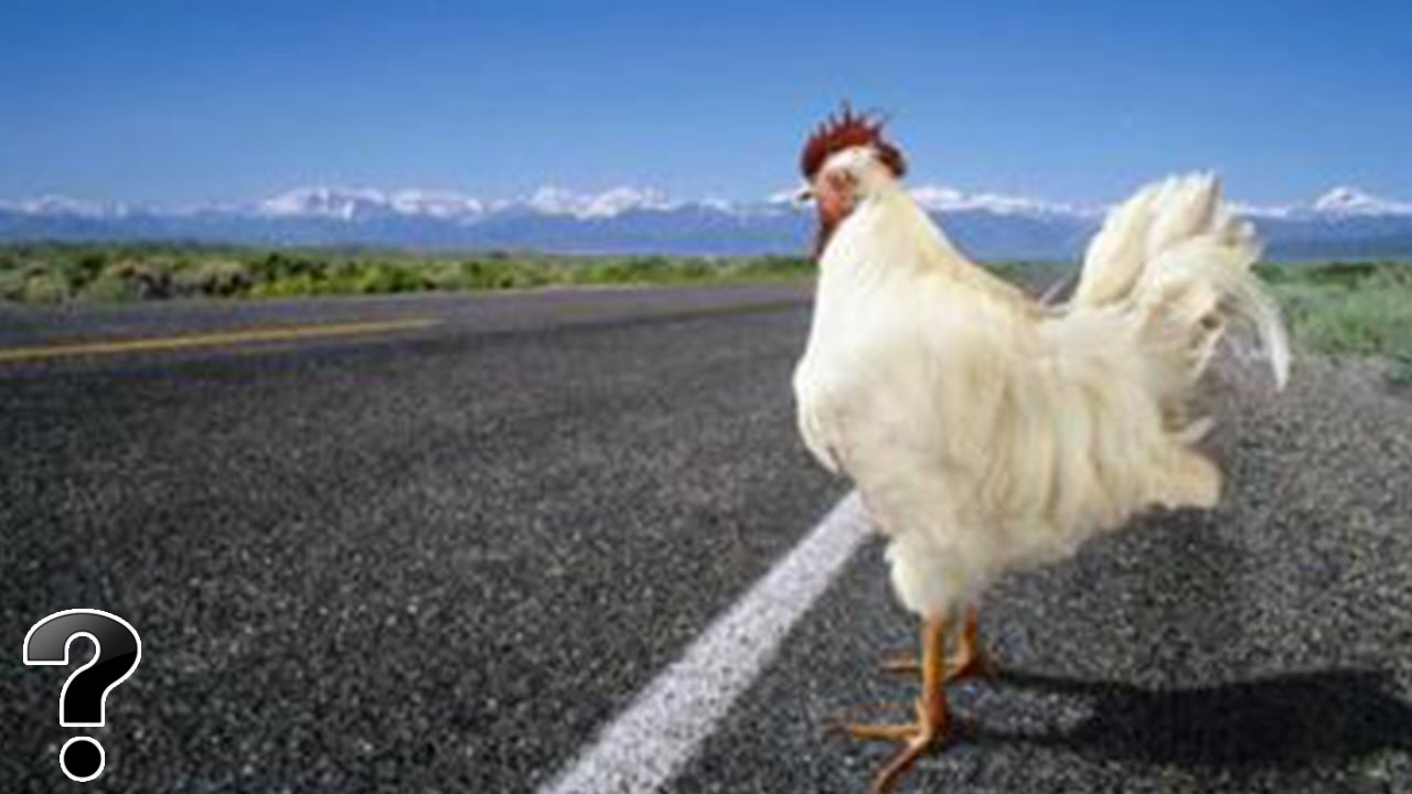 10th Grade Faith Questions Part III