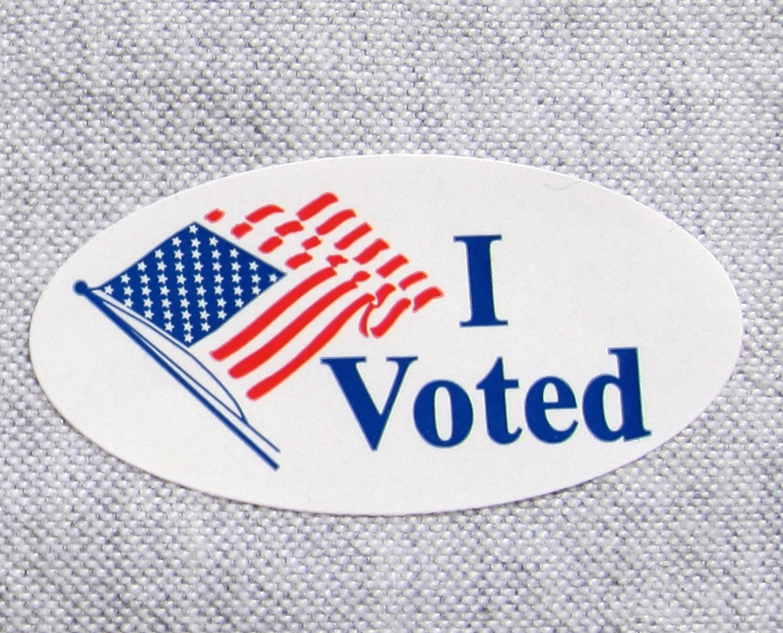 Why We Vote…Not How We Vote