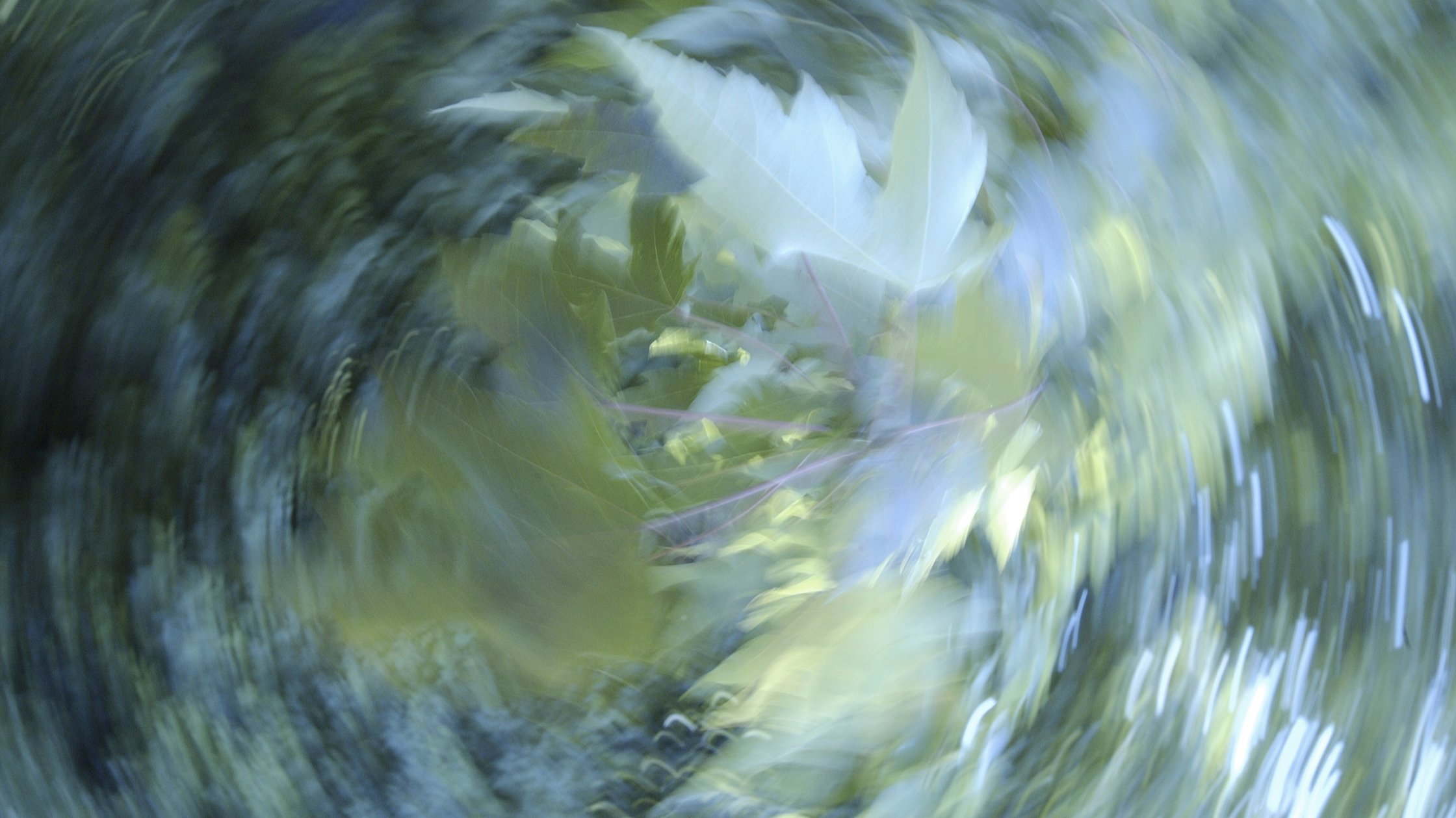 The Spirit Works Every Day