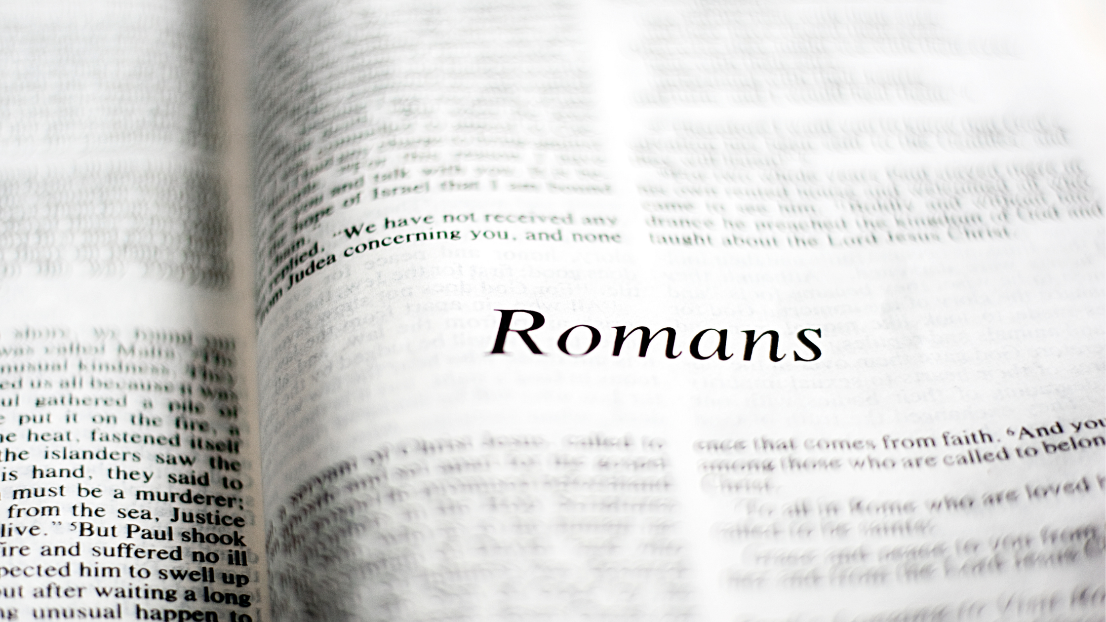 The Habit of the Word