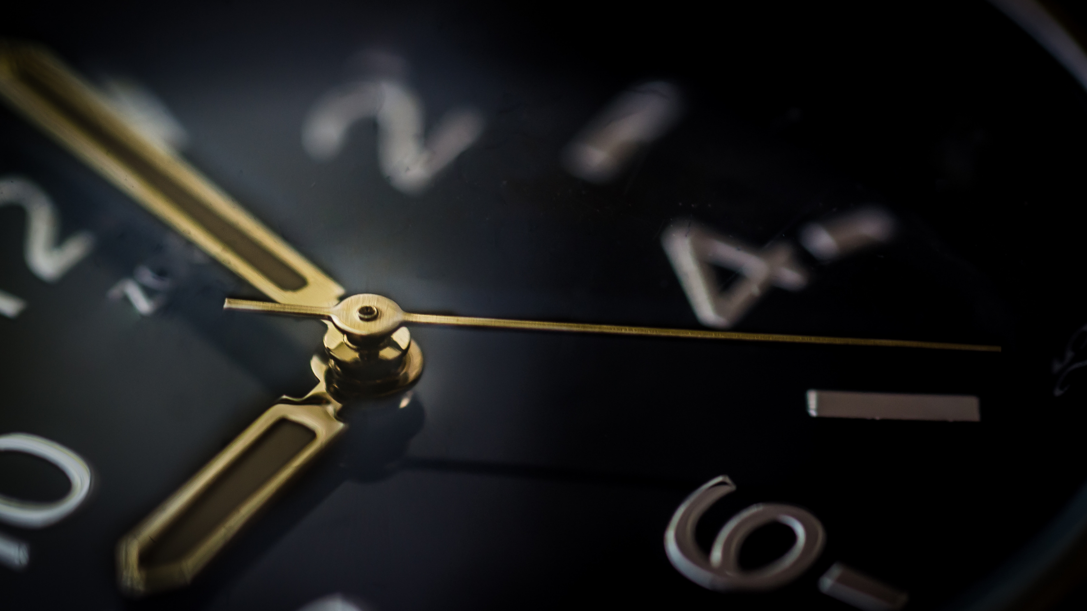 A Time for Everything