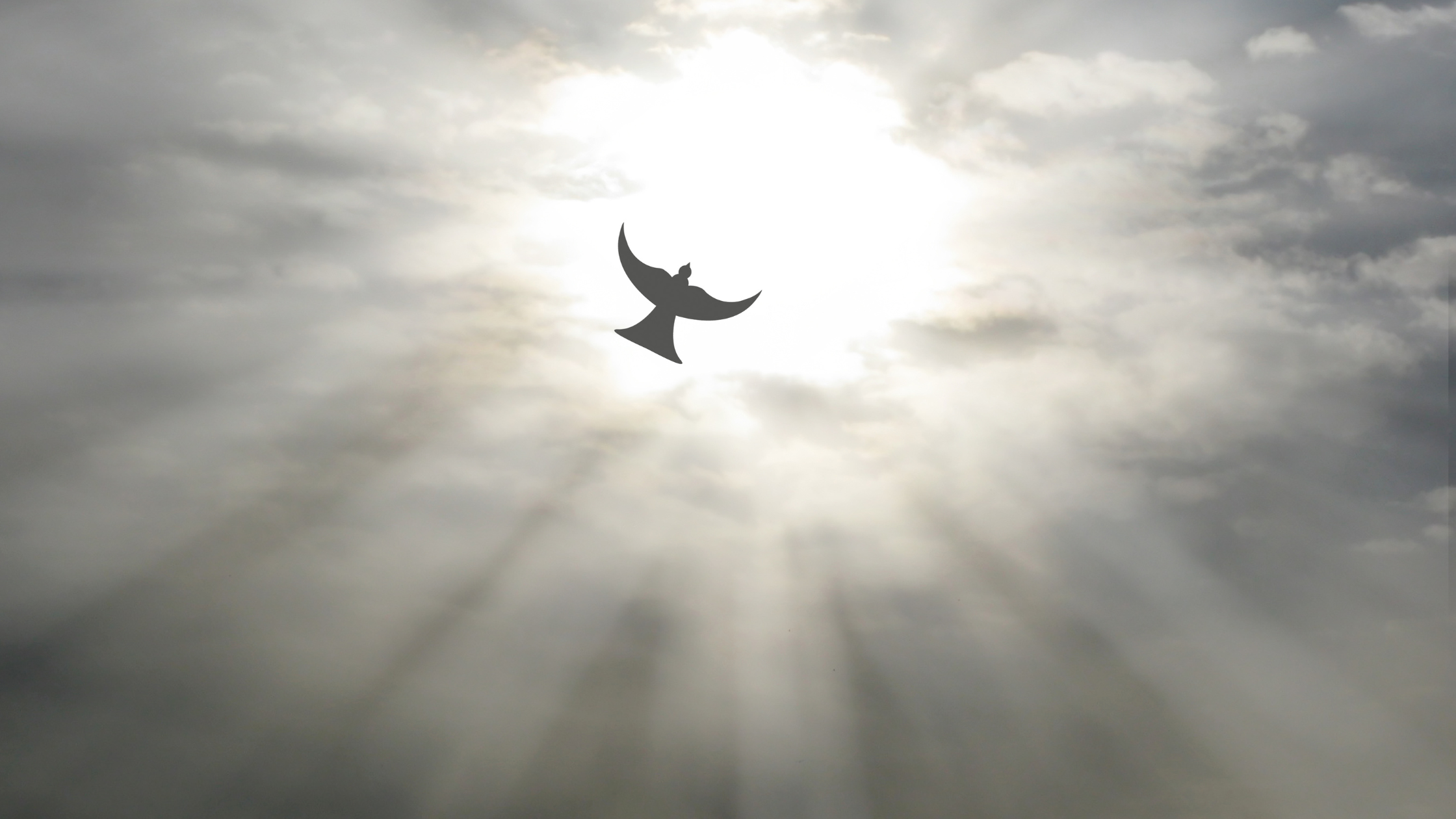 The Day the Sky Was Torn Open