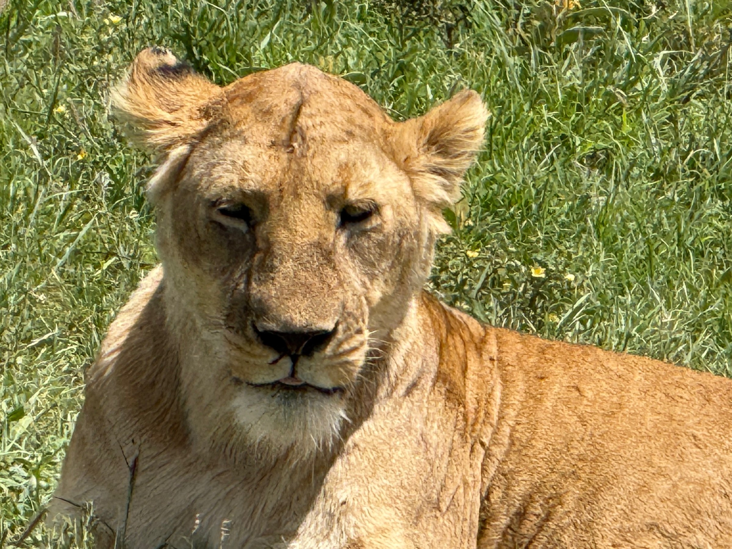 Tanzania Day 3:  A Day of Discovery